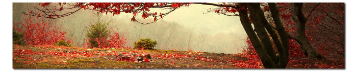 Галерея Осенний листопад